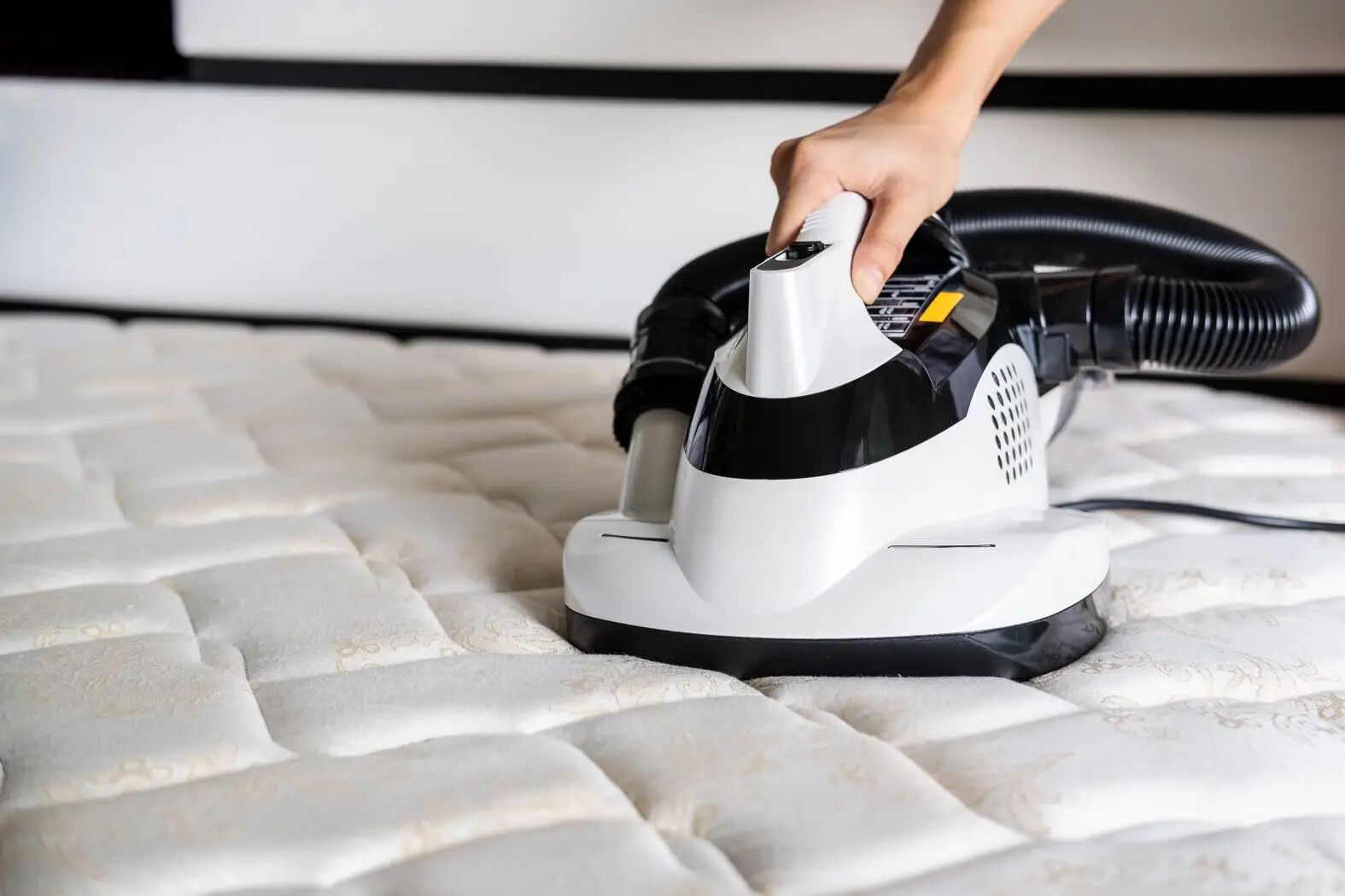 Bed cleaning